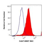 IBA1 Antibody in Flow Cytometry (Flow)