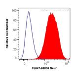 NeuN Antibody in Flow Cytometry (Flow)