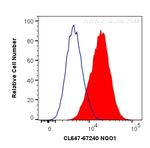 NQO1 Antibody in Flow Cytometry (Flow)