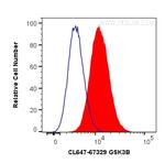 GSK3B Antibody in Flow Cytometry (Flow)