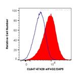 eIF4G2/DAP5 Antibody in Flow Cytometry (Flow)