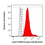 Phospho-GSK3B (Ser9) Antibody in Flow Cytometry (Flow)