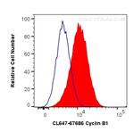 cyclin B1 Antibody in Flow Cytometry (Flow)