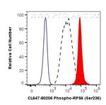 Phospho-S6 Ribosomal protein (Ser236) Antibody in Flow Cytometry (Flow)