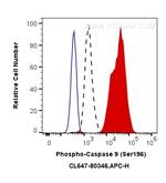 Phospho-Caspase 9 (Ser196) Antibody in Flow Cytometry (Flow)