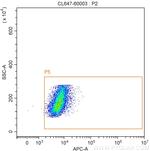 MYC tag Antibody in Flow Cytometry (Flow)