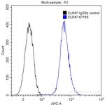 HDAC2 Antibody in Flow Cytometry (Flow)