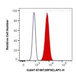 MFN2 Antibody in Flow Cytometry (Flow)