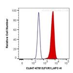 FXR1 Antibody in Flow Cytometry (Flow)