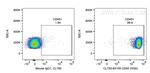 CD45 Antibody in Flow Cytometry (Flow)