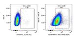 MICA/MICB Antibody in Flow Cytometry (Flow)