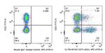 CD73 Antibody in Flow Cytometry (Flow)