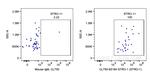 STRO-1 Antibody in Flow Cytometry (Flow)