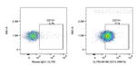 CD13 Antibody in Flow Cytometry (Flow)