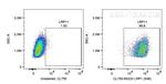 LRP1 Antibody in Flow Cytometry (Flow)