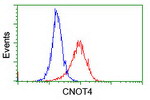 CNOT4 Antibody in Flow Cytometry (Flow)