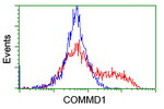 COMMD1 Antibody in Flow Cytometry (Flow)