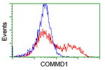 COMMD1 Antibody in Flow Cytometry (Flow)