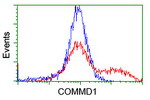 COMMD1 Antibody in Flow Cytometry (Flow)