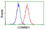 COMMD1 Antibody in Flow Cytometry (Flow)