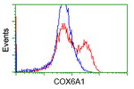 COX6A1 Antibody in Flow Cytometry (Flow)