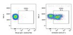 CD35 Antibody in Flow Cytometry (Flow)