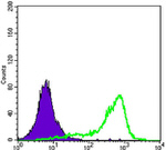 Torc1 Antibody in Flow Cytometry (Flow)