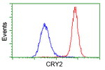 CRY2 Antibody in Flow Cytometry (Flow)