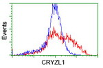 CRYZL1 Antibody in Flow Cytometry (Flow)