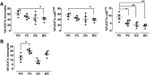 CD115 (c-fms) Antibody in Flow Cytometry (Flow)