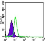 CSK Antibody in Flow Cytometry (Flow)