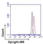 CXCR4 Antibody in Flow Cytometry (Flow)