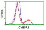 CYB5R3 Antibody in Flow Cytometry (Flow)