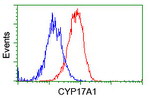 CYP17A1 Antibody in Flow Cytometry (Flow)