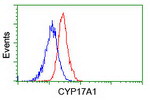 CYP17A1 Antibody in Flow Cytometry (Flow)