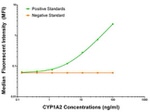 CYP1A2 Antibody in ELISA (ELISA)