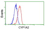 CYP1A2 Antibody in Flow Cytometry (Flow)