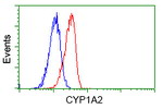 CYP1A2 Antibody in Flow Cytometry (Flow)