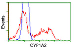 CYP1A2 Antibody in Flow Cytometry (Flow)