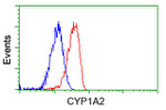 CYP1A2 Antibody in Flow Cytometry (Flow)