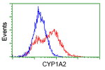 CYP1A2 Antibody in Flow Cytometry (Flow)