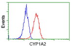 CYP1A2 Antibody in Flow Cytometry (Flow)