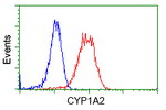 CYP1A2 Antibody in Flow Cytometry (Flow)