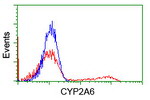 CYP2A6 Antibody in Flow Cytometry (Flow)