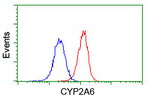 CYP2A6 Antibody in Flow Cytometry (Flow)