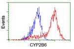 CYP2B6 Antibody in Flow Cytometry (Flow)