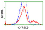 CYP2C9 Antibody in Flow Cytometry (Flow)