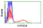 CYP2C9 Antibody in Flow Cytometry (Flow)