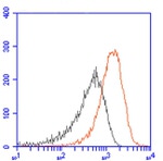 Cas9 Antibody in Flow Cytometry (Flow)