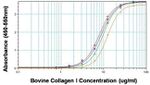 Collagen I Antibody in ELISA (ELISA)